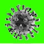 The Immune System Against Corona Virus Low-Carb Nutrition And Immune Function